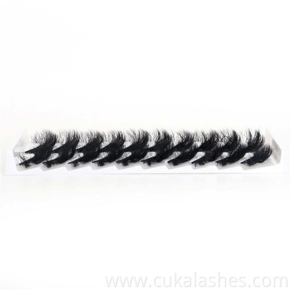 10 Pairs Lashes